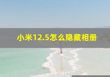 小米12.5怎么隐藏相册