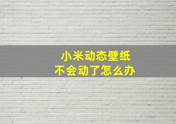 小米动态壁纸不会动了怎么办