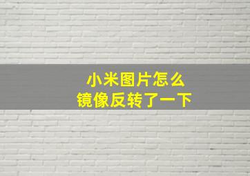 小米图片怎么镜像反转了一下