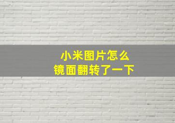 小米图片怎么镜面翻转了一下