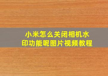 小米怎么关闭相机水印功能呢图片视频教程