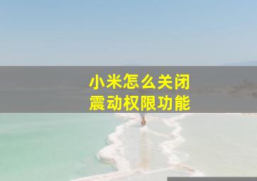 小米怎么关闭震动权限功能