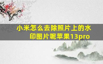 小米怎么去除照片上的水印图片呢苹果13pro