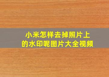 小米怎样去掉照片上的水印呢图片大全视频