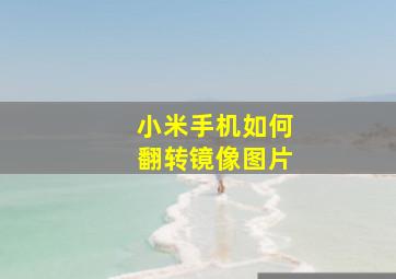 小米手机如何翻转镜像图片