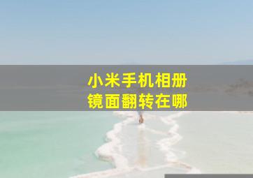 小米手机相册镜面翻转在哪