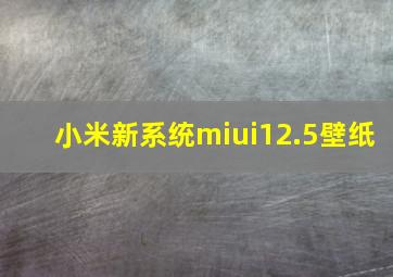 小米新系统miui12.5壁纸