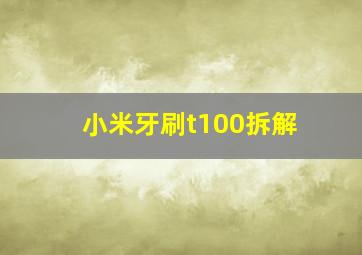 小米牙刷t100拆解