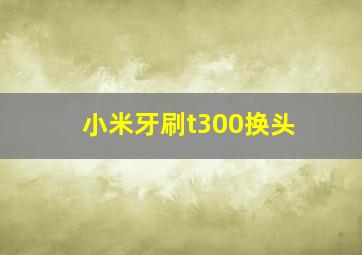 小米牙刷t300换头