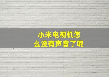 小米电视机怎么没有声音了呢