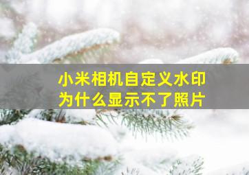 小米相机自定义水印为什么显示不了照片