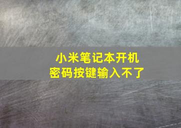 小米笔记本开机密码按键输入不了