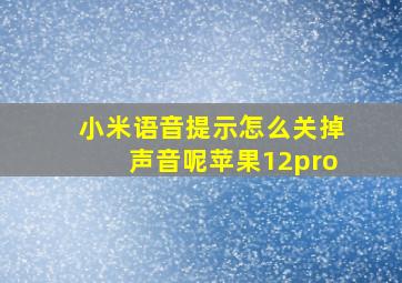 小米语音提示怎么关掉声音呢苹果12pro