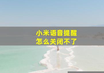 小米语音提醒怎么关闭不了