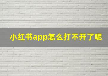 小红书app怎么打不开了呢