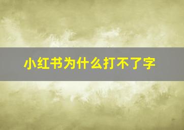 小红书为什么打不了字