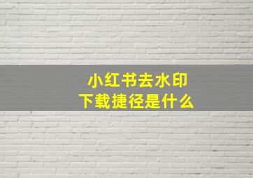 小红书去水印下载捷径是什么