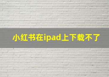 小红书在ipad上下载不了