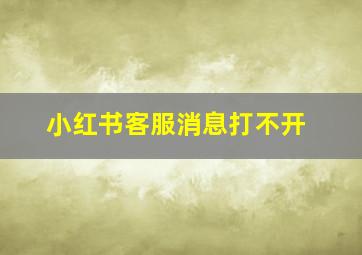 小红书客服消息打不开