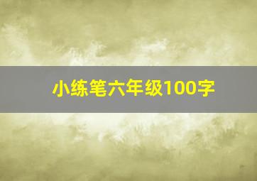 小练笔六年级100字