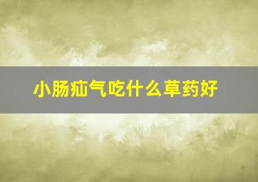 小肠疝气吃什么草药好