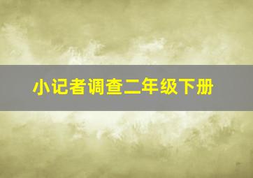 小记者调查二年级下册