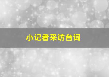 小记者采访台词