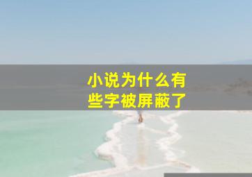 小说为什么有些字被屏蔽了