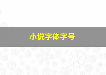 小说字体字号