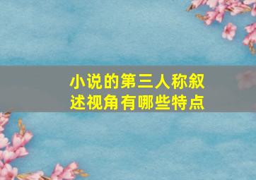 小说的第三人称叙述视角有哪些特点