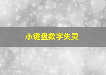 小键盘数字失灵