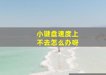 小键盘速度上不去怎么办呀