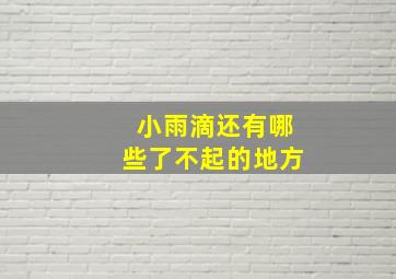 小雨滴还有哪些了不起的地方