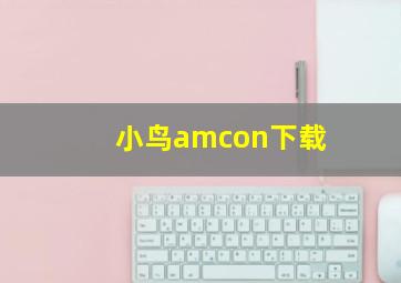 小鸟amcon下载