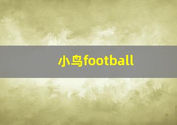 小鸟football