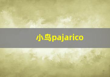 小鸟pajarico