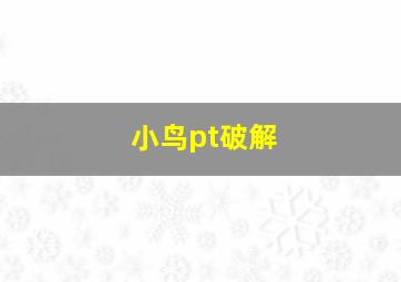 小鸟pt破解