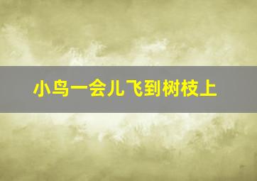 小鸟一会儿飞到树枝上