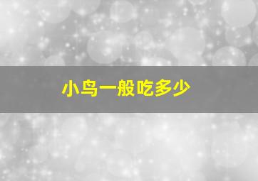 小鸟一般吃多少