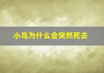 小鸟为什么会突然死去