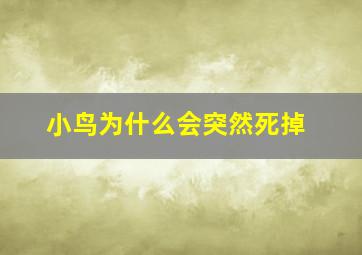 小鸟为什么会突然死掉