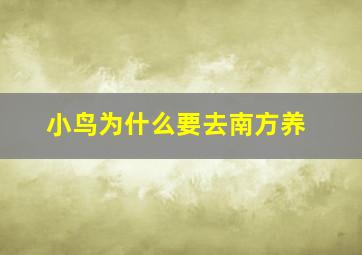 小鸟为什么要去南方养