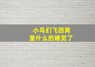 小鸟们飞回窝里什么的睡觉了