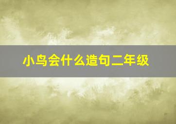 小鸟会什么造句二年级