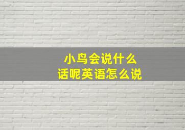 小鸟会说什么话呢英语怎么说