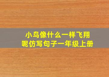 小鸟像什么一样飞翔呢仿写句子一年级上册