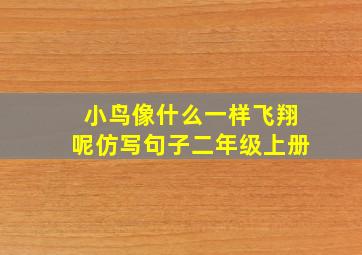 小鸟像什么一样飞翔呢仿写句子二年级上册