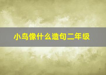 小鸟像什么造句二年级