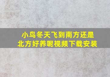 小鸟冬天飞到南方还是北方好养呢视频下载安装