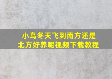 小鸟冬天飞到南方还是北方好养呢视频下载教程